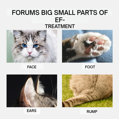 PawFinesse™ — Groom Your Pet Calmly with Precision and No Cuts