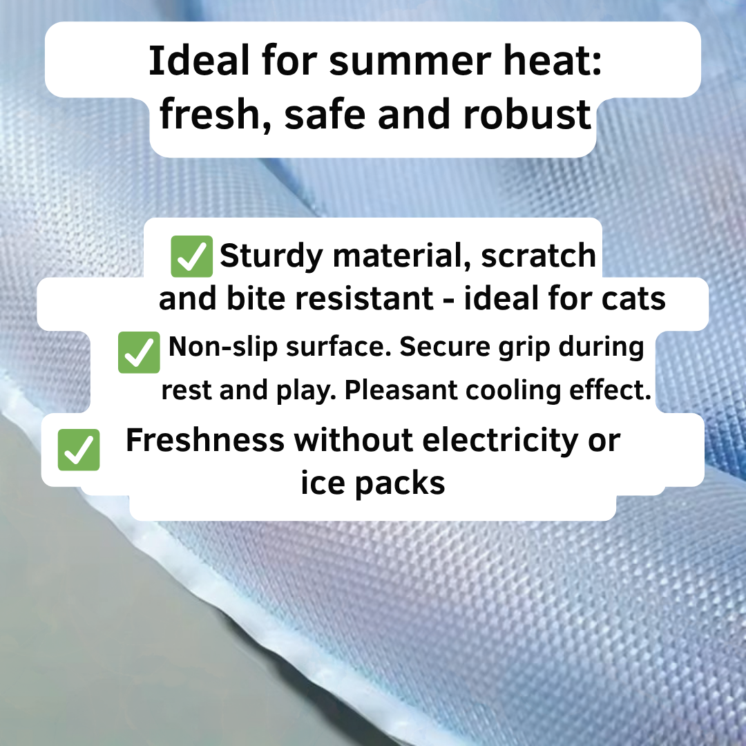 ChillWhirl™ — Keep Your Cat Cool, Calm, and Captivated All Summer Long