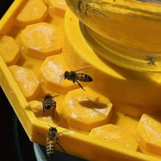 BuzzBloom – Garden Decorative Bee Watering Spot