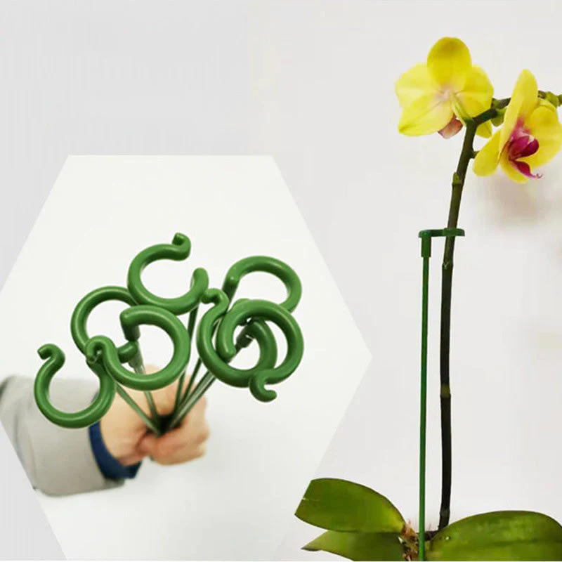 EasyPlant™ Elegant Stem Support