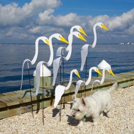 BreezeBird | Mesmerizing Garden Motion Unleashed | 50% Off