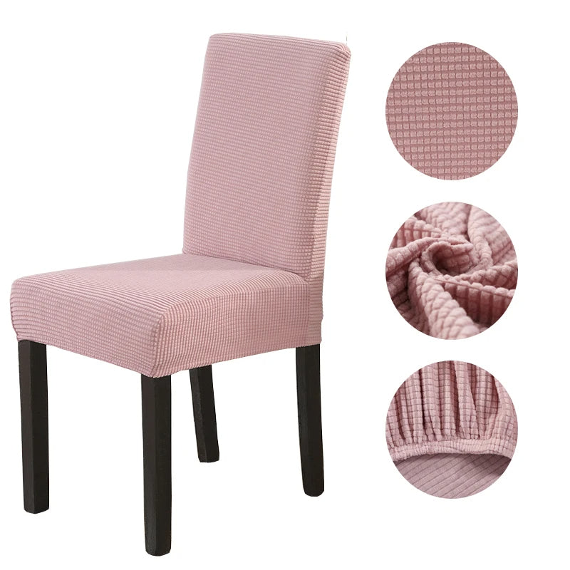 SerenityNest™ — Effortless Peace and Stylish Comfort for Happy Homes and Pets