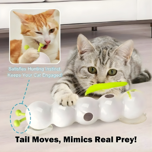 HunterWave™ — Ignite Your Cat’s Wild Instincts for Endless Joy and Energy