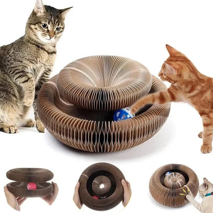 PurrPlay™ | Versatile Entertainment for Joyful Kittens