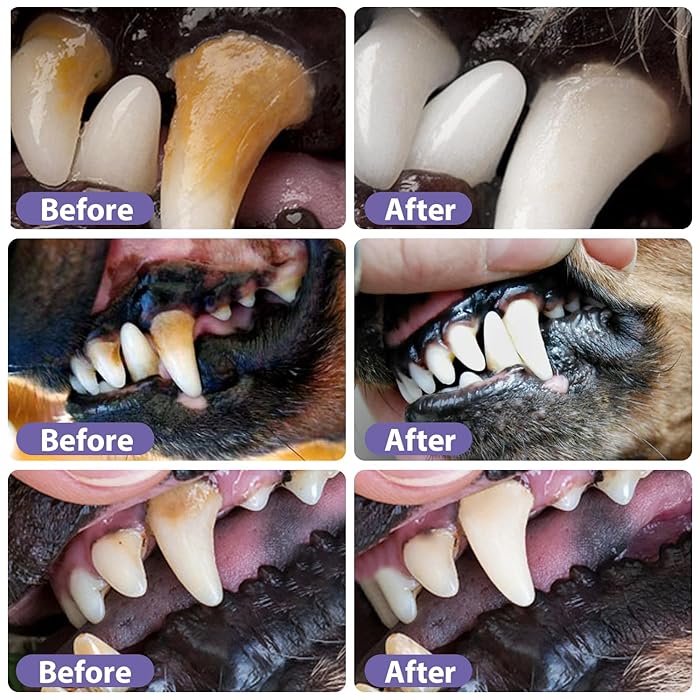PuraPaws™ Oral Gel — Melt Away Tartar and Unleash Irresistibly Fresh, Pain-Free Pet Smiles