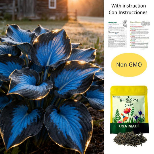 ShadePulse™ — Revive Every Shadow with Effortless, Vibrant Garden Life
