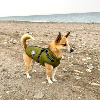 BraveTail™ Weather Jacket — Wrap Your Dog in Cozy Warmth and Effortless Control, Rain or Shine