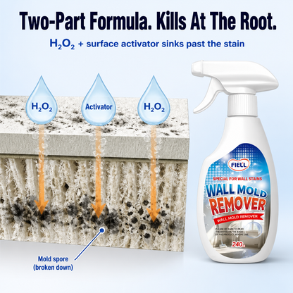 MoldAwayPro™ — Remove Black Mold from Walls in 15 Minutes, No Scrubbing Needed