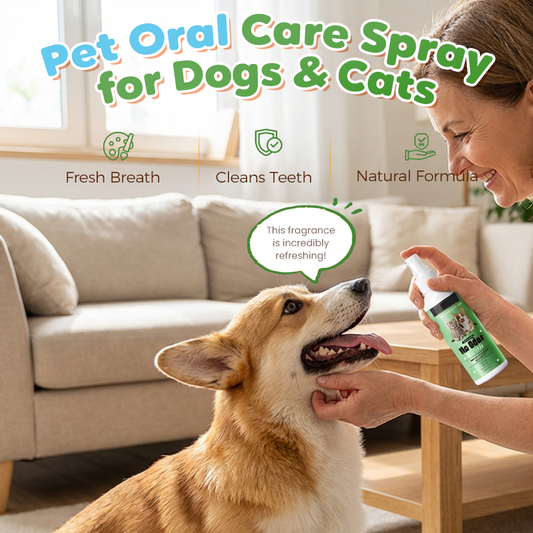 FreshPawMist™ — Effortless Fresh Breath and a Radiant Smile Your Pet Deserves