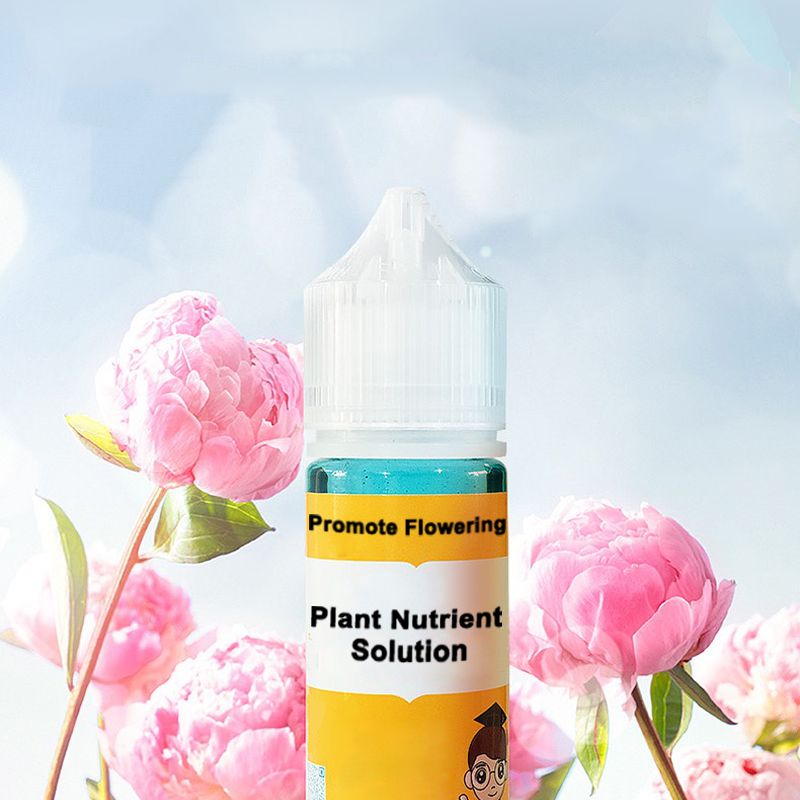FloraLux™ — Ignite Explosive Blooms That Captivate Every Eye