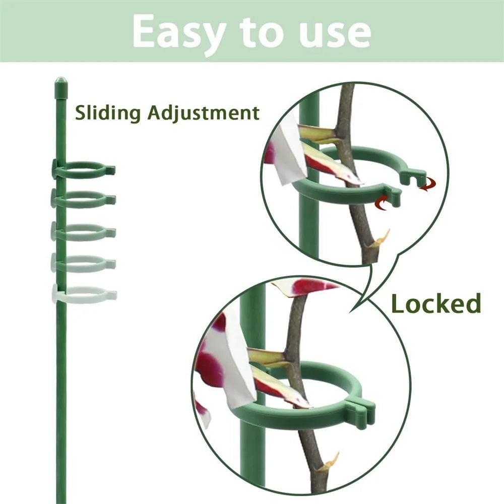GrowSteady™ — Unshakable Support That Grows Your Garden Into a Lush Powerhouse