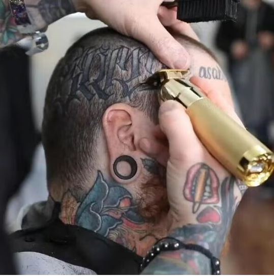 EdgeLuxe™ — Command Every Cut with Quiet, Cordless Precision