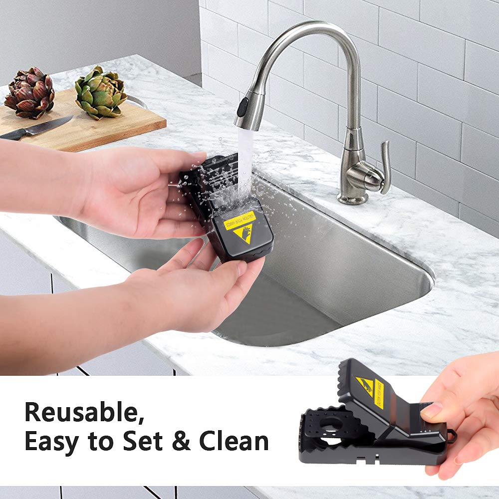 Mouse Trap Reusable