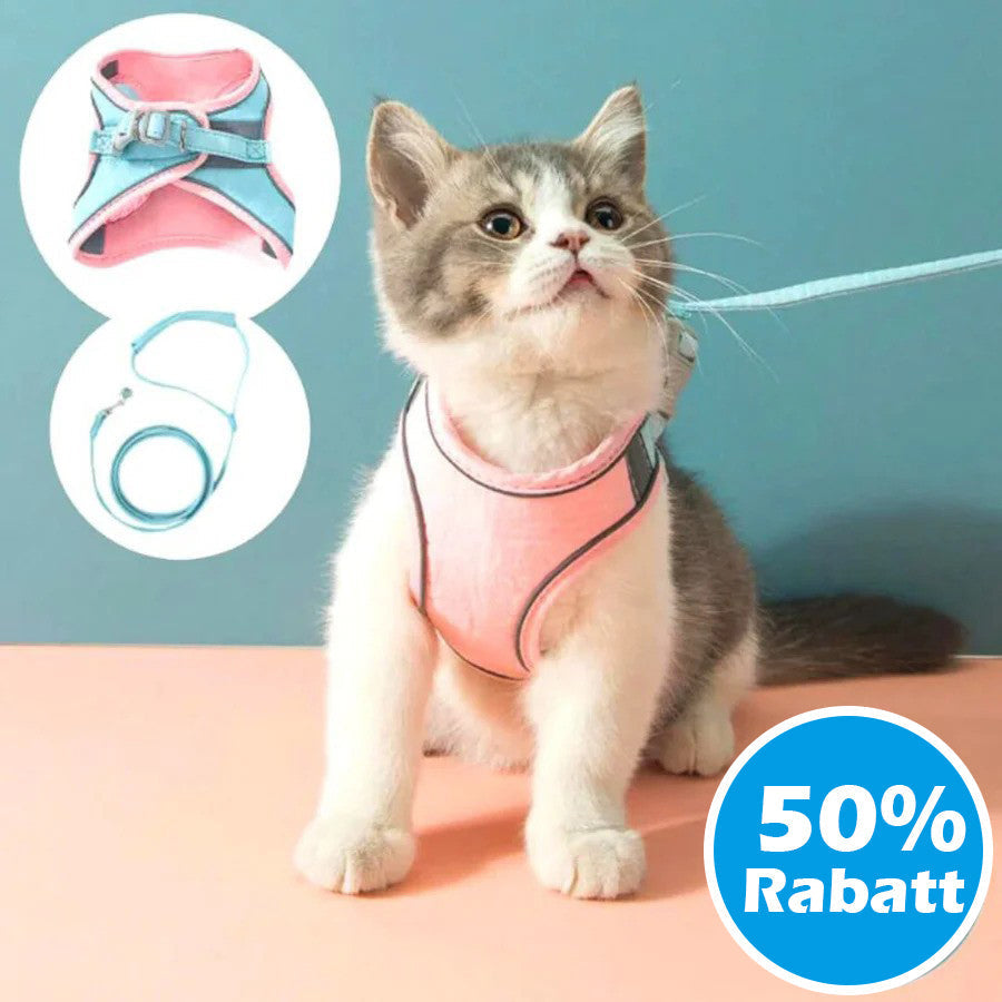 RamoraStride™ — Let Your Cat Explore Freely with Comfort and Nighttime Safety