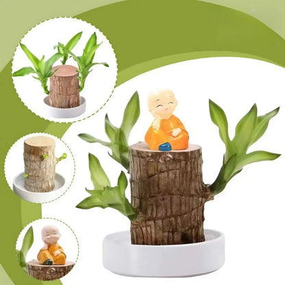 Brazilian Miracle-Wood™ — Ignite Instant Luck and Calm Your Mind Effortlessly