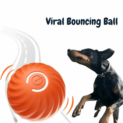 SparkTail™ — Ignite Your Dog’s Wild Instincts with Endless Thrills and Nonstop Fun