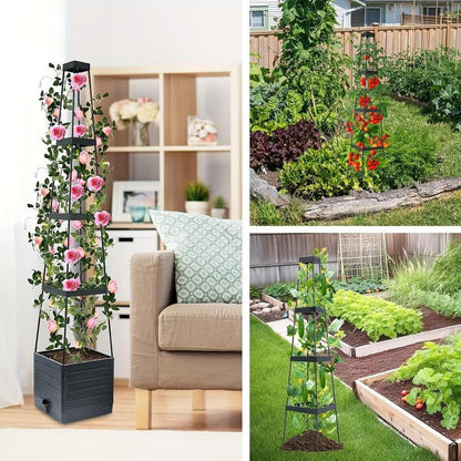 SkyRise Stand™ — Transform Cramped Spaces into Towering Gardens That Thrive Effortlessly