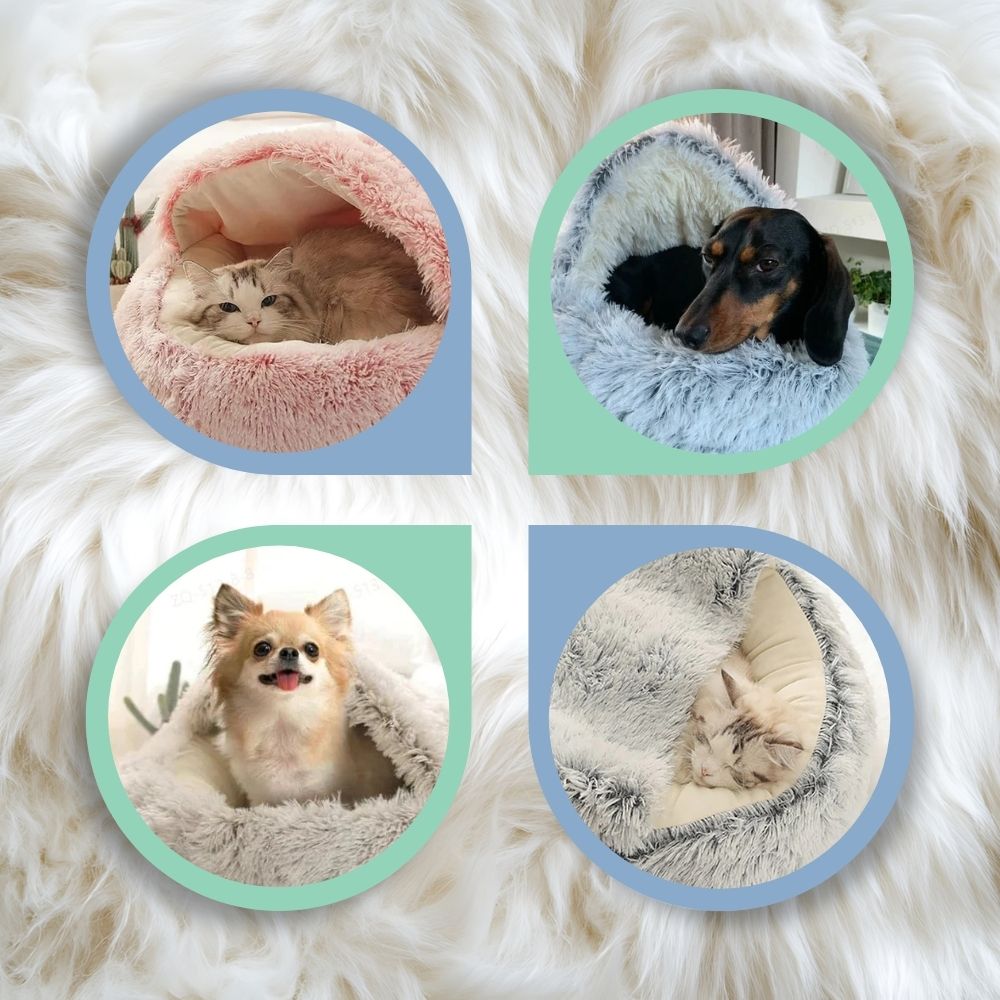 50% OFF | Cozy Pet Bed [Final Day Discount]