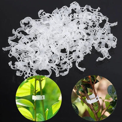 💥2024 Hot Sale 49% OFF💥 Guaranteed Plastic Plant Clips (BUY 3 GET 2 FREE)