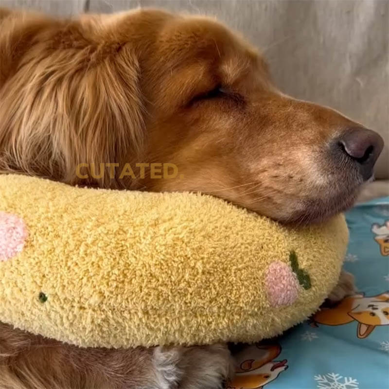 SereneRest™ — The Ultimate Calm Haven for Happy, Pain-Free Dogs