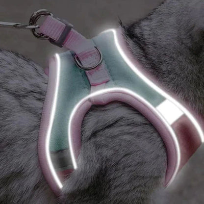 RamoraStride™ — Let Your Cat Explore Freely with Comfort and Nighttime Safety