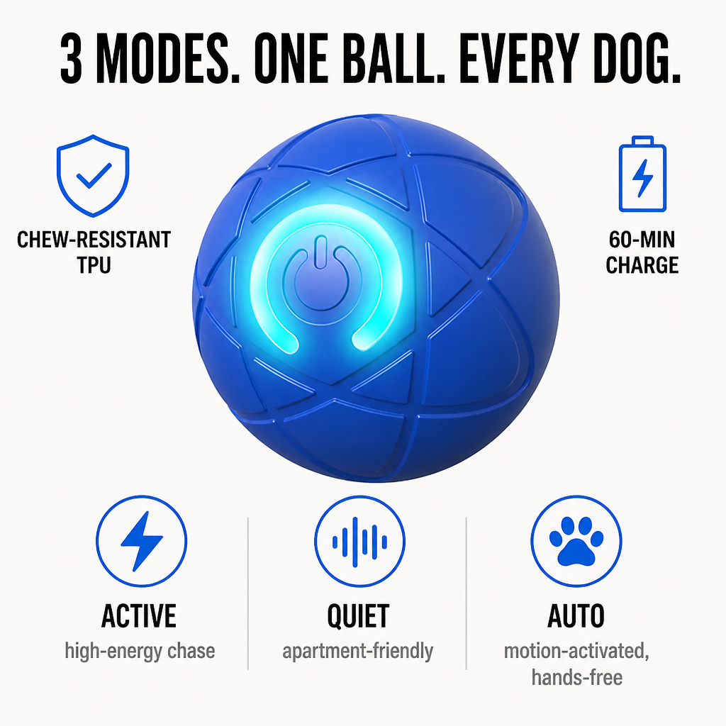 DashRoll™ — Tire Out Your Dog’s Energy Hands-Free While You Work