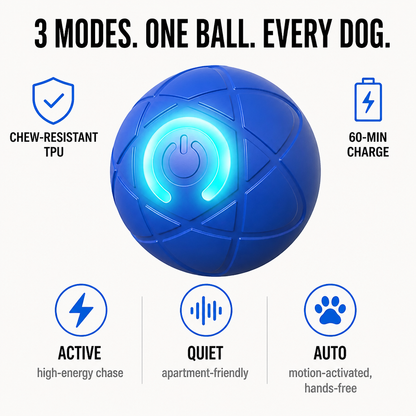 DashRoll™ — Tire Out Your Dog’s Energy Hands-Free While You Work