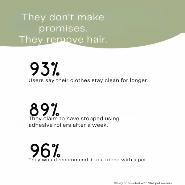 RamoraSweep™ — Instantly Erase Pet Hair for a Spotless, Stress-Free Home