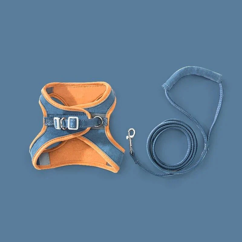 RamoraStride™ — Let Your Cat Explore Freely with Comfort and Nighttime Safety