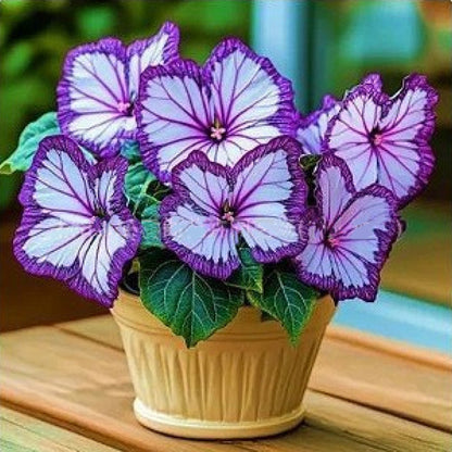 LunaWing™ Butterfly Bloom Seeds — Watch Your Garden Spark Magic with Stunning Butterfly Blooms