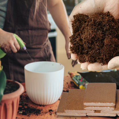 EverRoot™ Organic Coconut Coir — Ignite Radical Growth with Oxygen-Rich, Moisture-Locked Roots