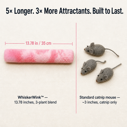 WhiskerWink™ — Spark Bunny-Kicks That Exhaust Even the Most Selective Cat