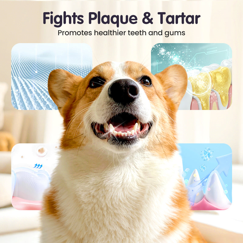 FreshPawMist™ — Effortless Fresh Breath and a Radiant Smile Your Pet Deserves