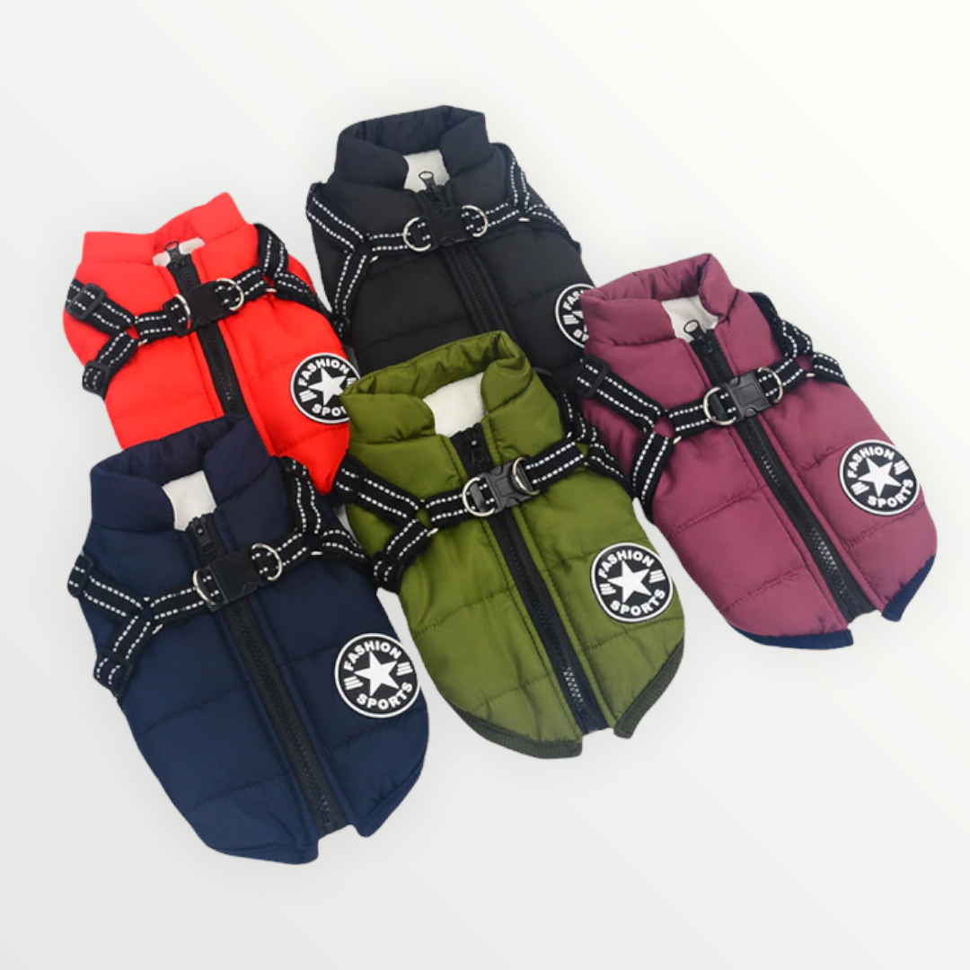 BraveTail™ Weather Jacket — Wrap Your Dog in Cozy Warmth and Effortless Control, Rain or Shine