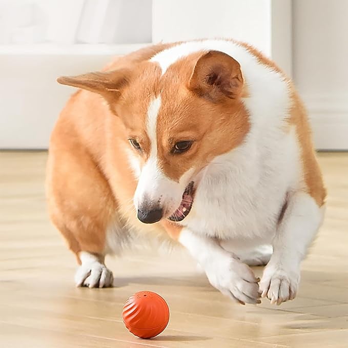 SparkTail™ — Ignite Your Dog’s Wild Instincts with Endless Thrills and Nonstop Fun