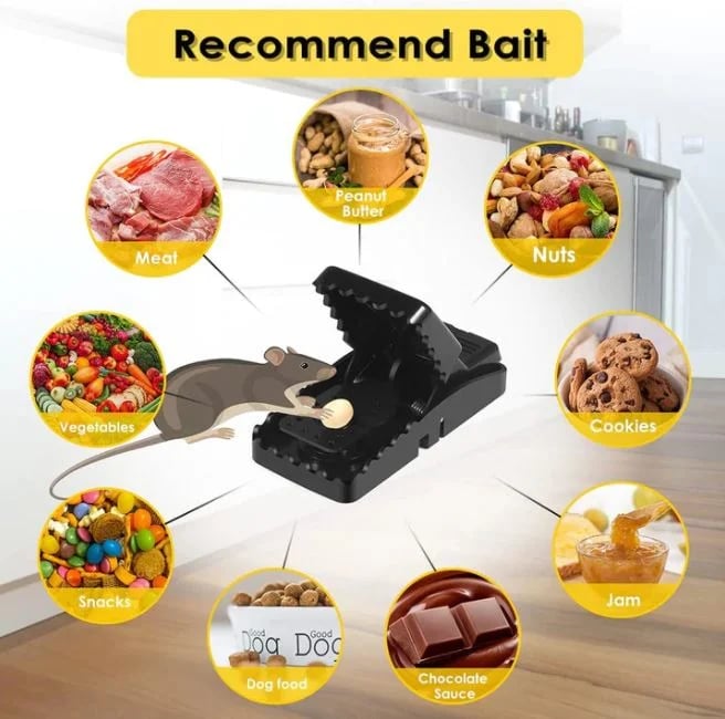 Mouse Trap Reusable