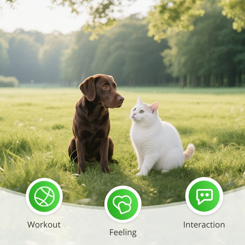 ProwlPulse™ — Ignite Your Cat’s Wild Instincts for Endless Thrills and Calm