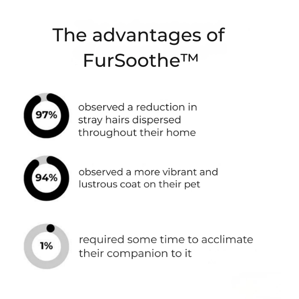 GlideVelvet™ — Effortless Grooming That Brings Peace and Shiny Fur to Your Home