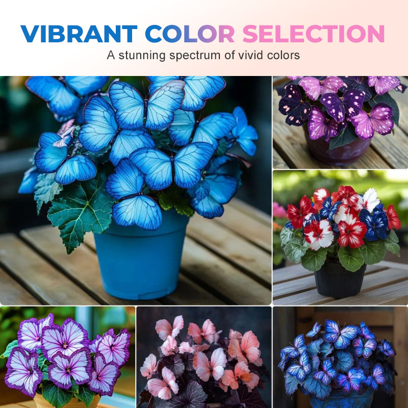LunaWing™ Butterfly Bloom Seeds — Watch Your Garden Spark Magic with Stunning Butterfly Blooms
