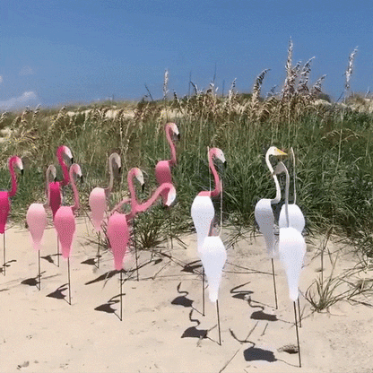 BreezeBird | Mesmerizing Garden Motion Unleashed | 50% Off