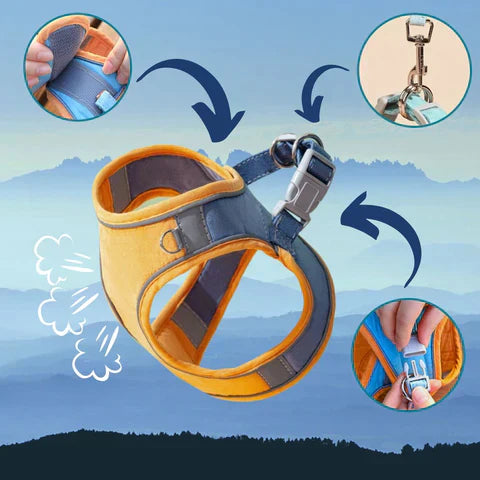 RamoraStride™ — Let Your Cat Explore Freely with Comfort and Nighttime Safety