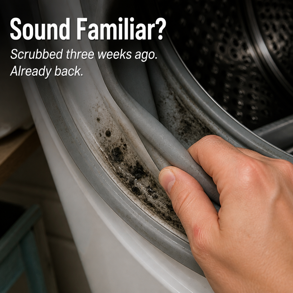 MoldMelt™ Gel — Wake Up to Surfaces Finally Free from Stubborn Mold