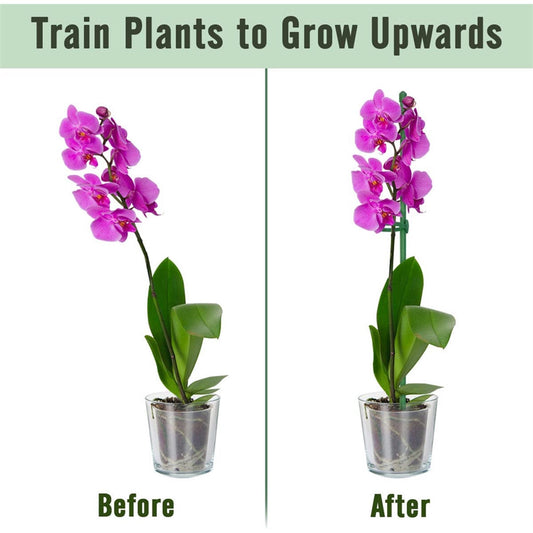 GrowSteady™ — Unshakable Support That Grows Your Garden Into a Lush Powerhouse
