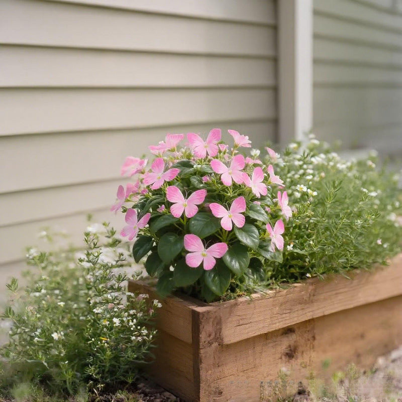 LunaWing™ Butterfly Bloom Seeds — Watch Your Garden Spark Magic with Stunning Butterfly Blooms