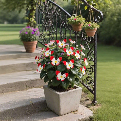 LunaWing™ Butterfly Bloom Seeds — Watch Your Garden Spark Magic with Stunning Butterfly Blooms