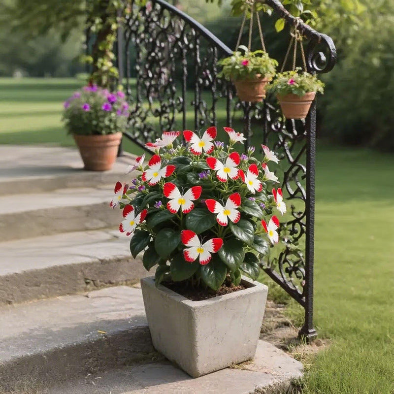 LunaWing™ Butterfly Bloom Seeds — Watch Your Garden Spark Magic with Stunning Butterfly Blooms