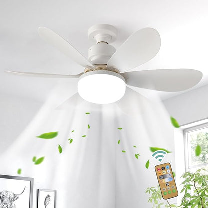 BreezeLume™ — Transform Small Spaces into Peaceful, Perfectly Lit Comfort Zones