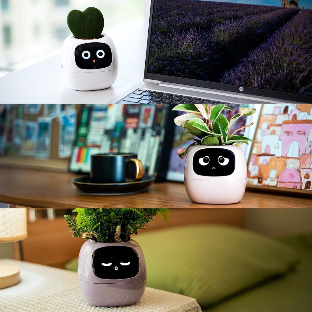 BloomBot™ | Intelligent Plant Pot
