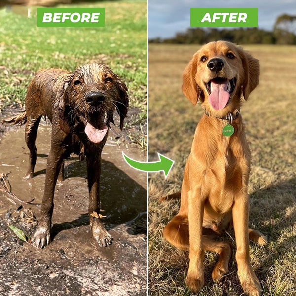 HydroHound™ — Turn Bath Time Into a Calm, Splash-Free Bonding Moment
