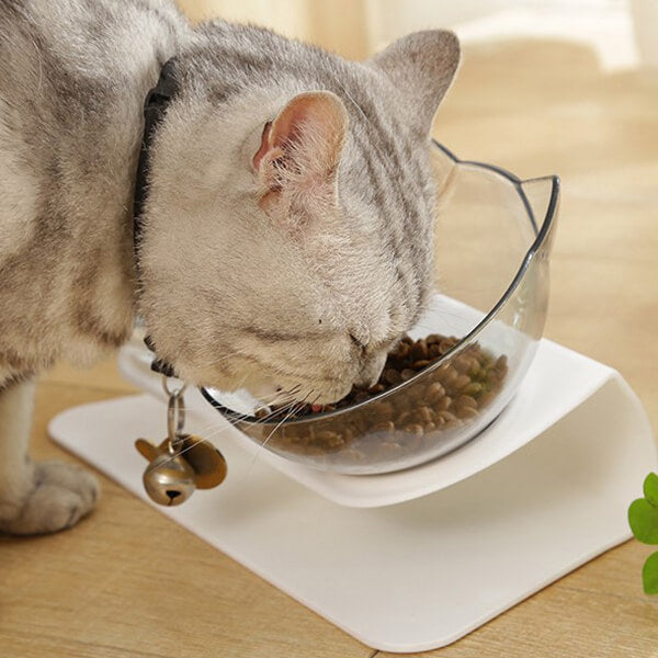 Orthopedic Cat Bowl with Anti-Vomit Design